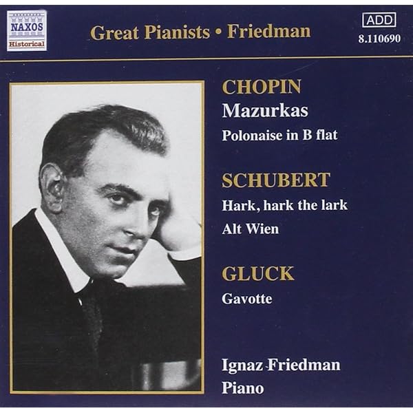 Ignaz Friedman - Ignaz Friedman: Complete Recordings, Vol. 3